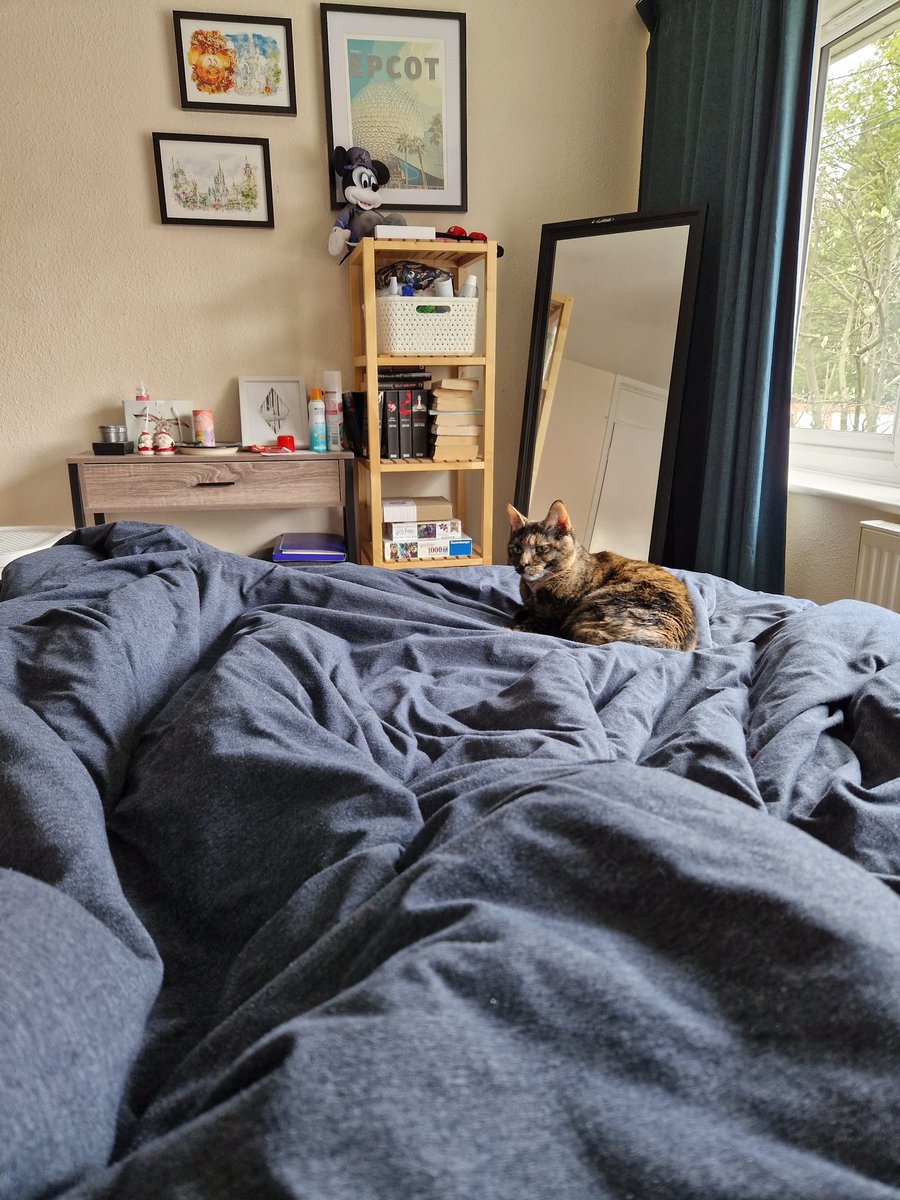 Mandi Moo Conway (She/Her) 🏳️🌈♿️ tweet media