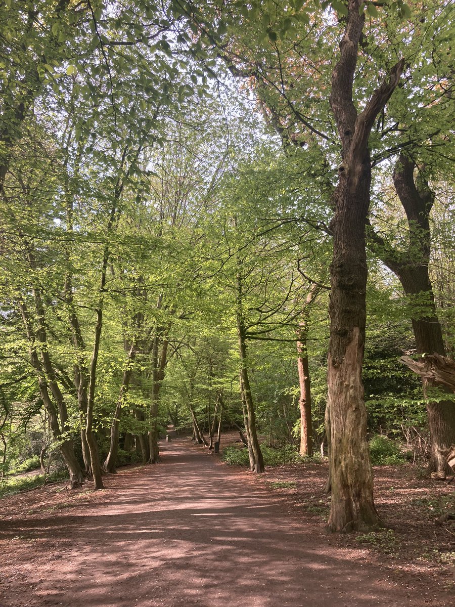 _jen_mo's tweet photo. A lovely 8 miles enjoying the sun running to my final day at Pretty Woman βοΈβοΈβοΈβοΈ
#RunToWork #SundayRunday #WhatBankHoliday π #RunnersOfTwitter https://t.co/6Zr0kuYzgd