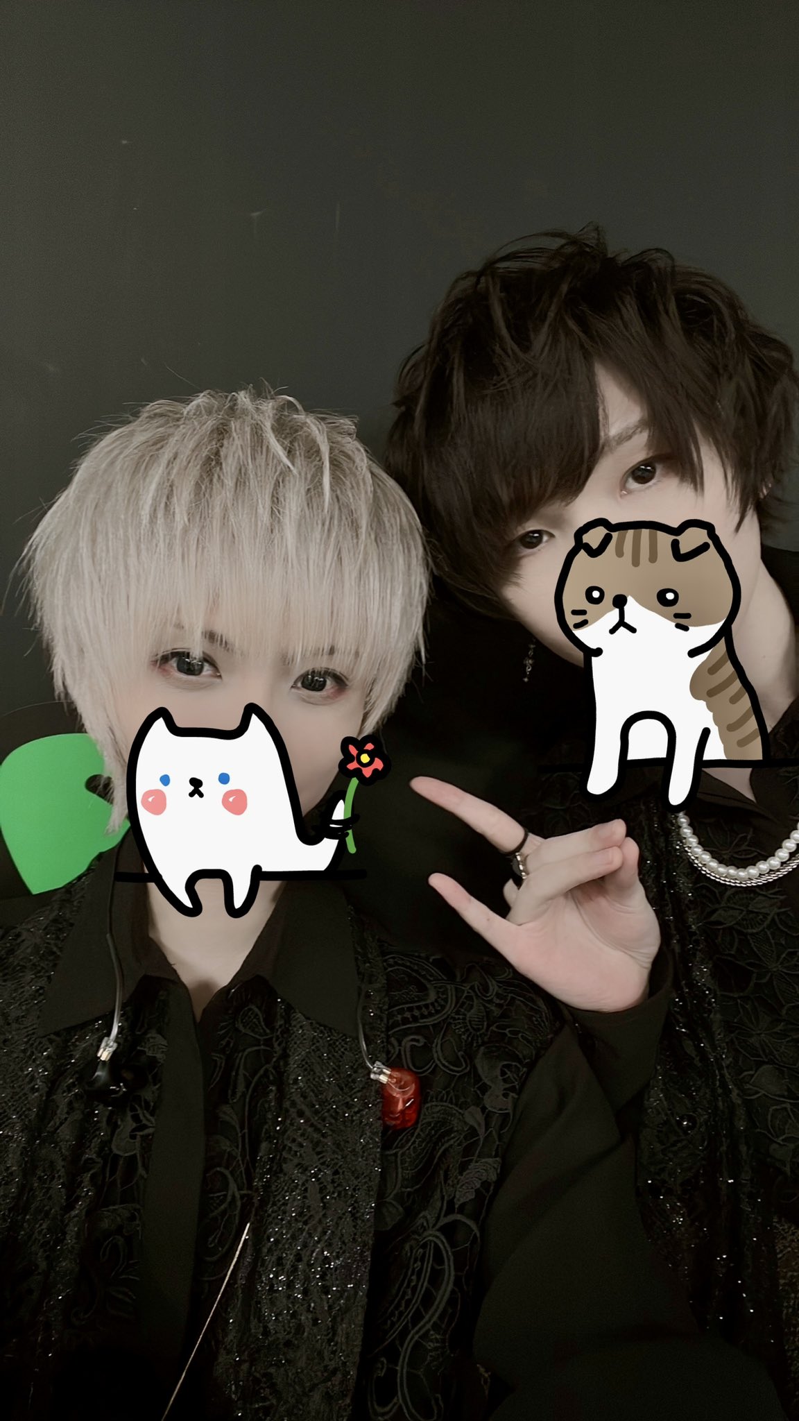 𝘔𝘢𝘧𝘶² (@mafumafu_twt) / X