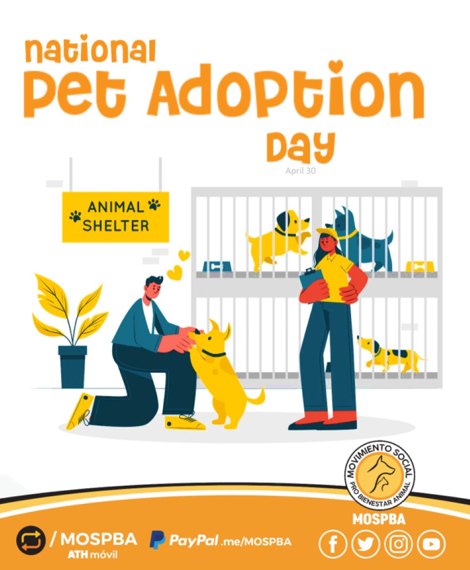 MOSPBA11's tweet photo. #AdoptAShelterPetDay
#DíadeAdoptarMascotadeRefugio se celebra el 30 de abril y estamos listos para conmemorar este día visitando  los #refugios de #mascotas y  #adoptdontshop https://t.co/QKPMXeFZC5