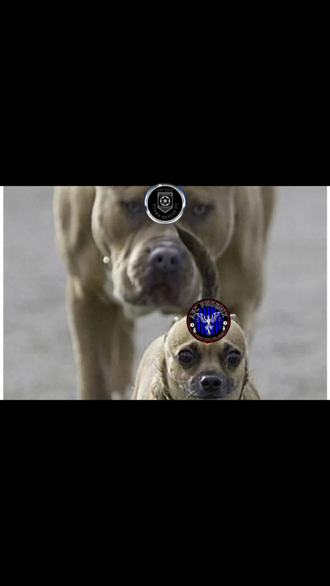 MtownRoversFC's tweet image. THE TITLE RACE IS BACK ON 🏆🔥

With results going our way today, phoenix lost 3-0 and 5-1 against masters in a double header!

1 game to go… 👀

UP THE ROVERS 💙🤍🖤