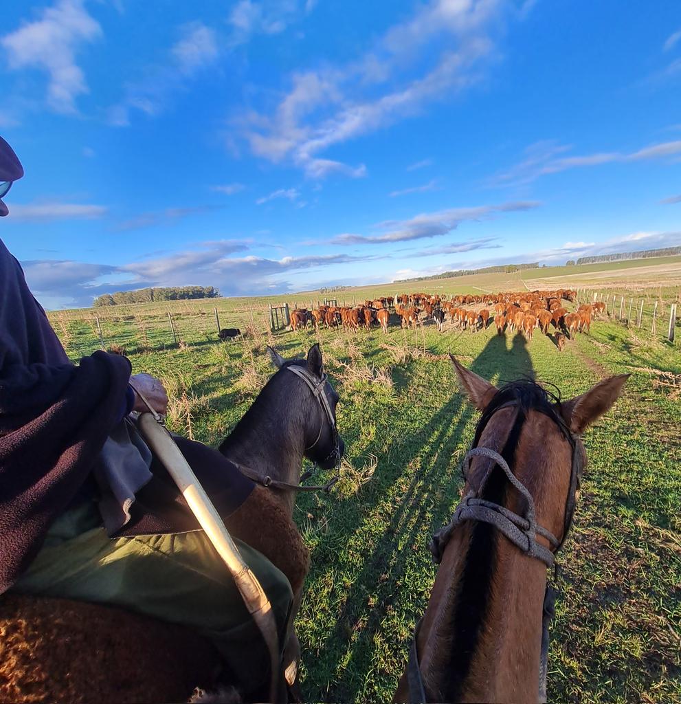 Feliz día del Trabajador Rural!

Ni La Tierra da sus frutos ni los Animales brindan sus dones; sin el Brazo, Pienso y Alma del Trabajador Rural.
💪🇺🇾