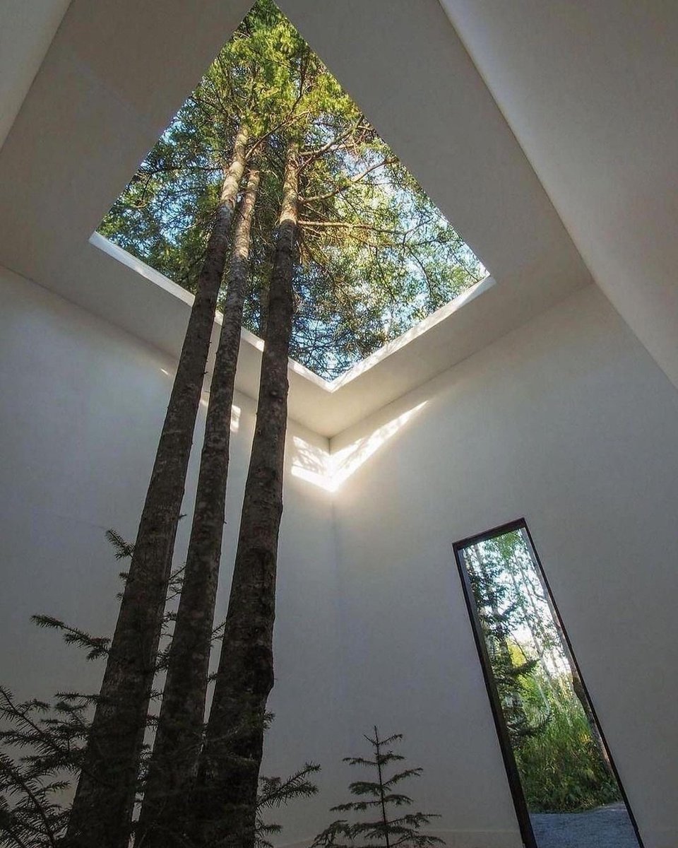 Plants First. The Building Comes Next! 🤝
#Architecture #Environment
#Nature #Building #Beauty