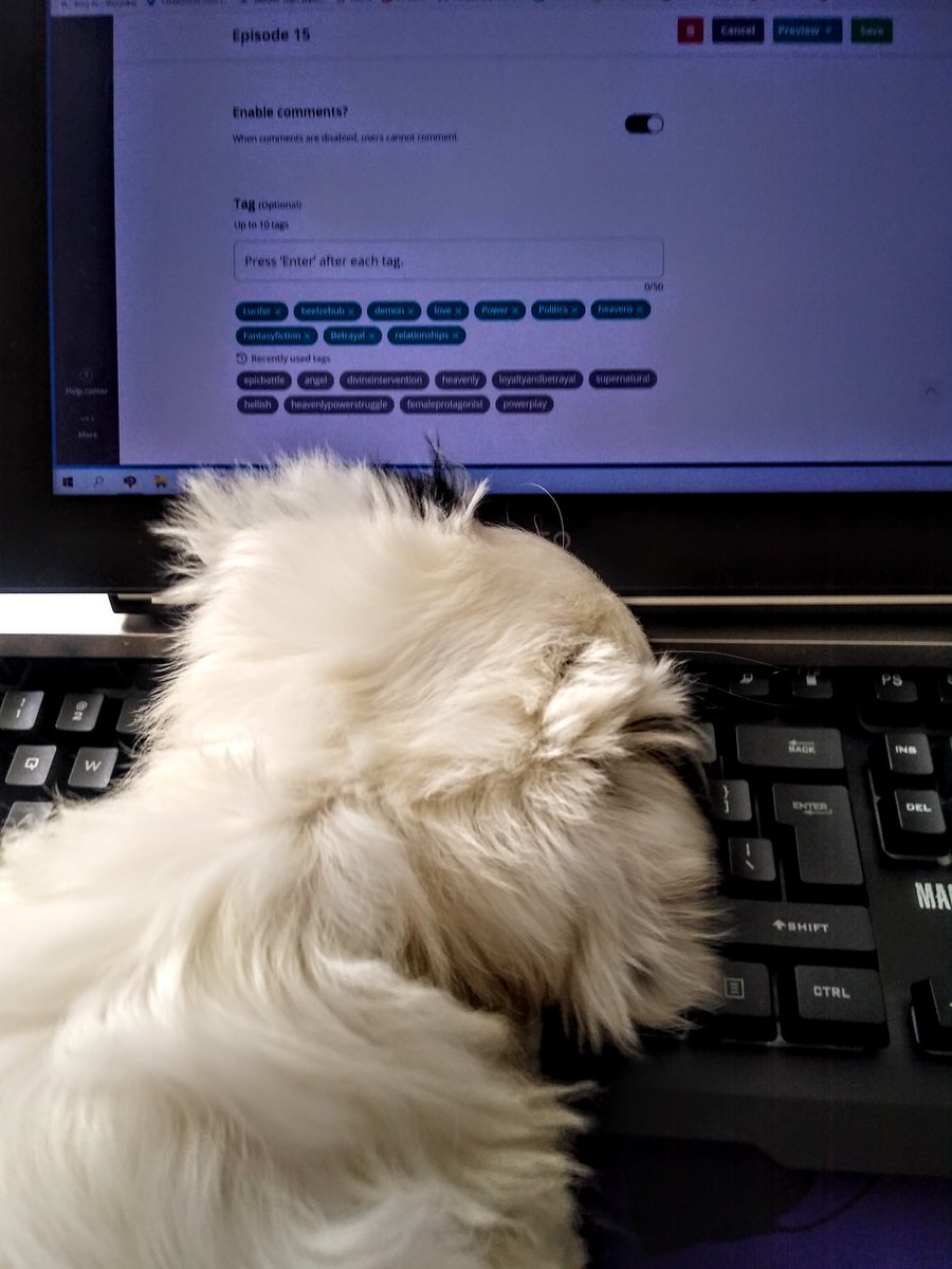Children0fChaos's tweet photo. When youโre trying to write a novel but puppy decides to lay on your keyboard. #writerproblems #ChildrenOfChaos #dog #artistsproblems https://t.co/XWvD6alSyq