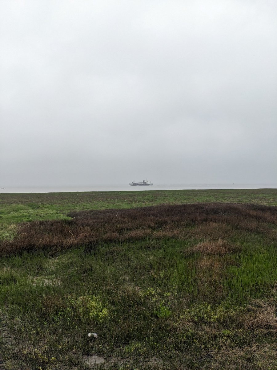 GM with the most typical British beach weather