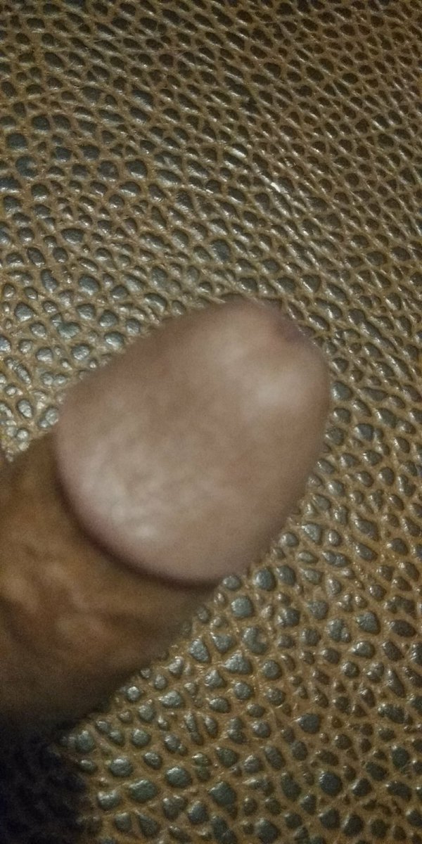 الذي تحب هذا أزب تتواصل على هذا ارقم ٧١٦٨٤٥١٠٥