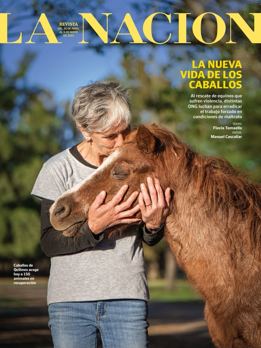 LA NACION Revista tweet media