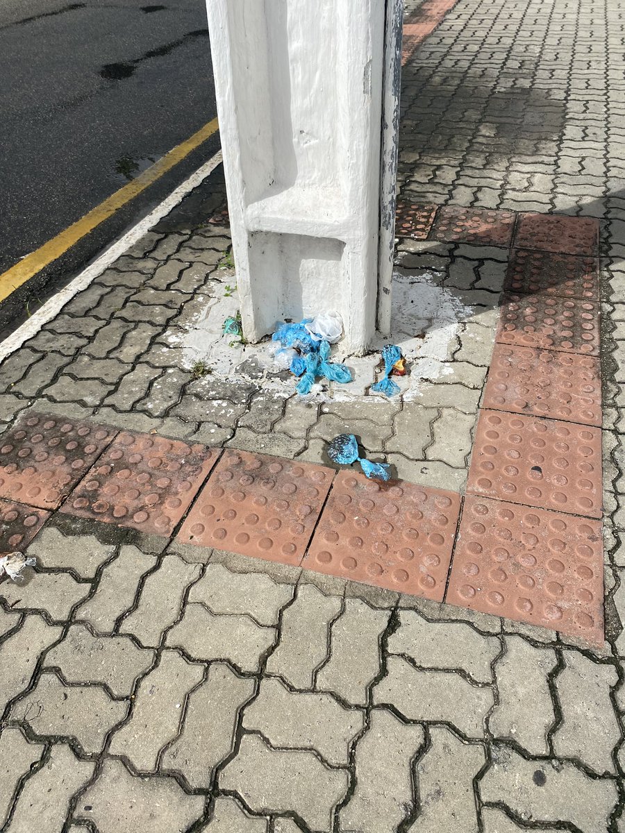 andrecarvalhose's tweet photo. Sugestão para a @PrefAracaju: colocar lixeiras na Avenida Oviêdo Teixeira. Os criadores de pets estão fazendo um poste de ponto de lixo. A lixeira mais próxima fica dentro do parque. https://t.co/ZNcG02LLPr