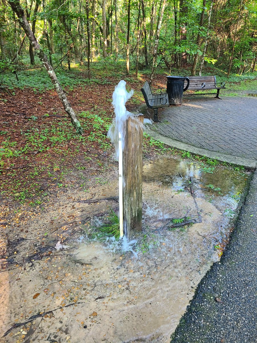 HillaryConley's tweet photo. @CityofTLH Broken water spigot gushing on Goosepond trail at Tom Brown park. https://t.co/7Nf6P5CuCo