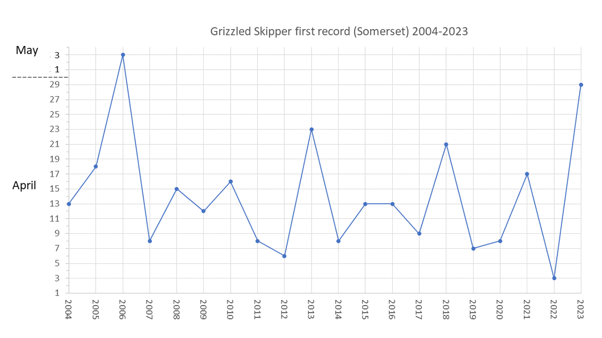 What effect is the cool spring having on our butterflies? A Grizzled Skipper seen yesterday is provisionally Somerset's first record of this species in 2023. Looking at @BCSomerset records from over the last 20 years, it's the latest first sighting of Grizzled Skipper since 2006.