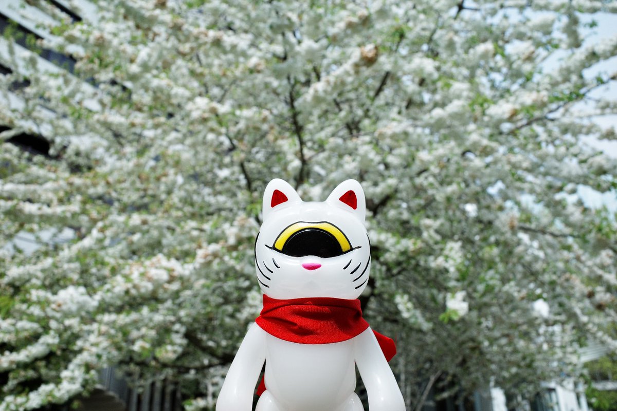 AkimmiLau's tweet image. ⚡️RHND⚡️

@4921RHND 

#realhead #RxN #真頭 #真頭玩具 #真頭不滅 #RHND