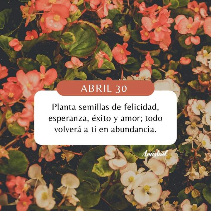 #ALBAUniónDeportiva

Amén 🙏 así sea! 🫶🩷🫶