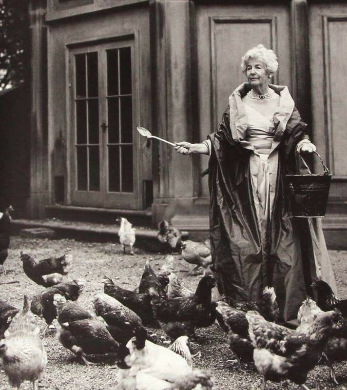Deborah Cavendish, Duchess of Devonshire, feeding her chickens while wearing a Christian Dior haute couture ballgown

this is who i want to be