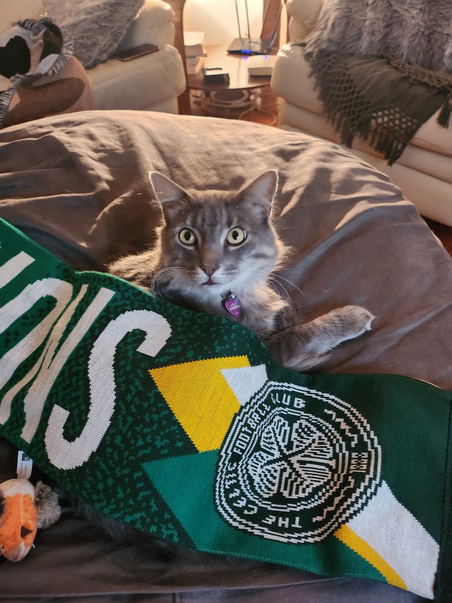 #CELRAN