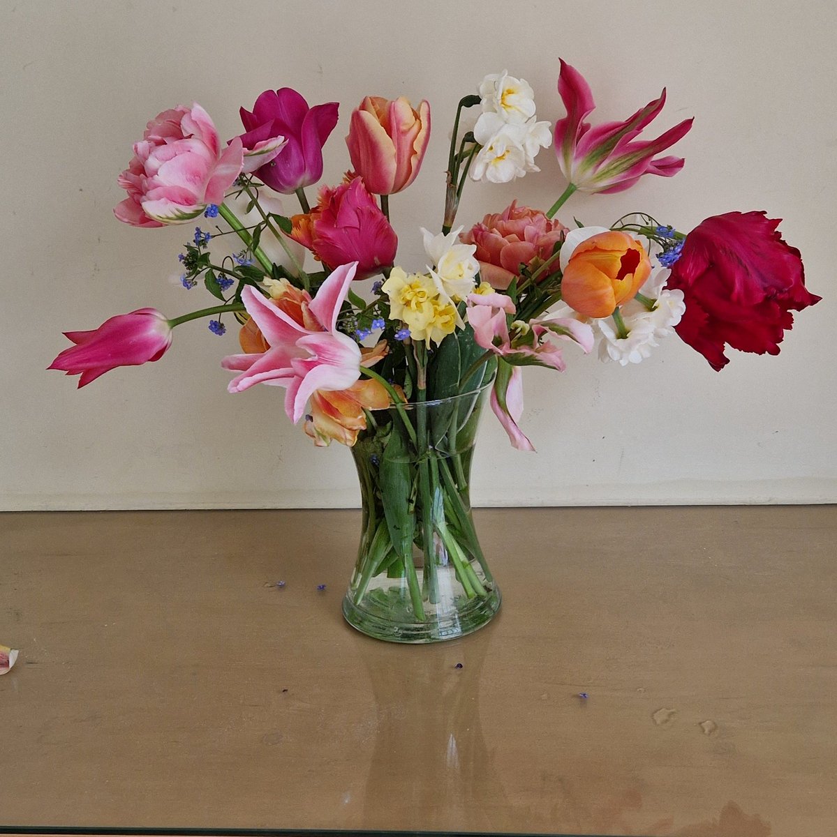 All the tulips and daffodils picked from my gardentoday #posy #bouquet #spring #tulip #daffodil #flowers