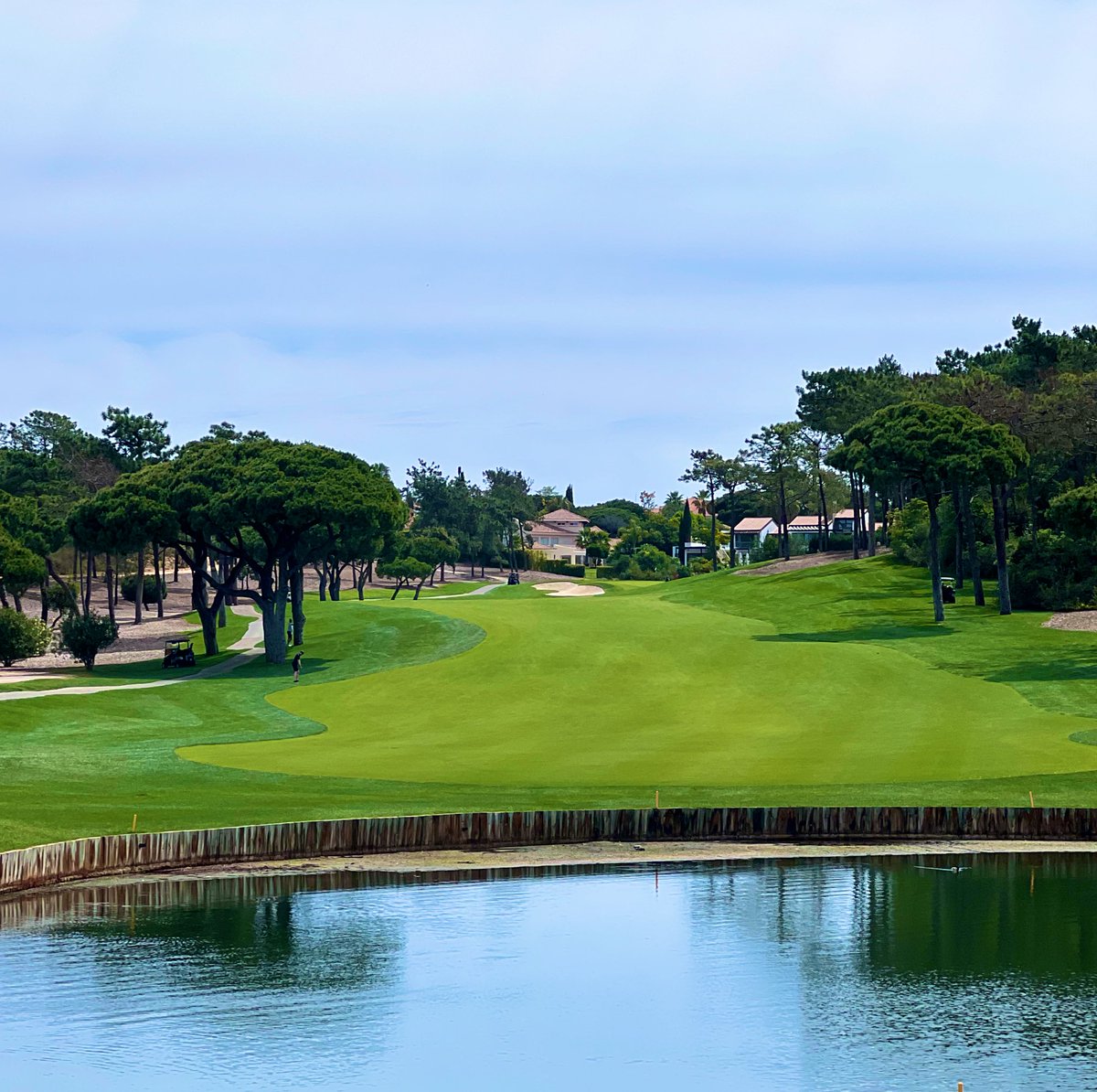 Peter Finch tweet media