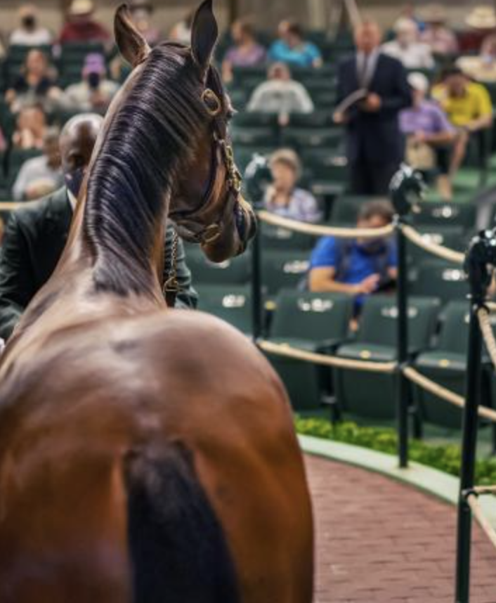 Steve Coxon Racing 🏇 tweet media