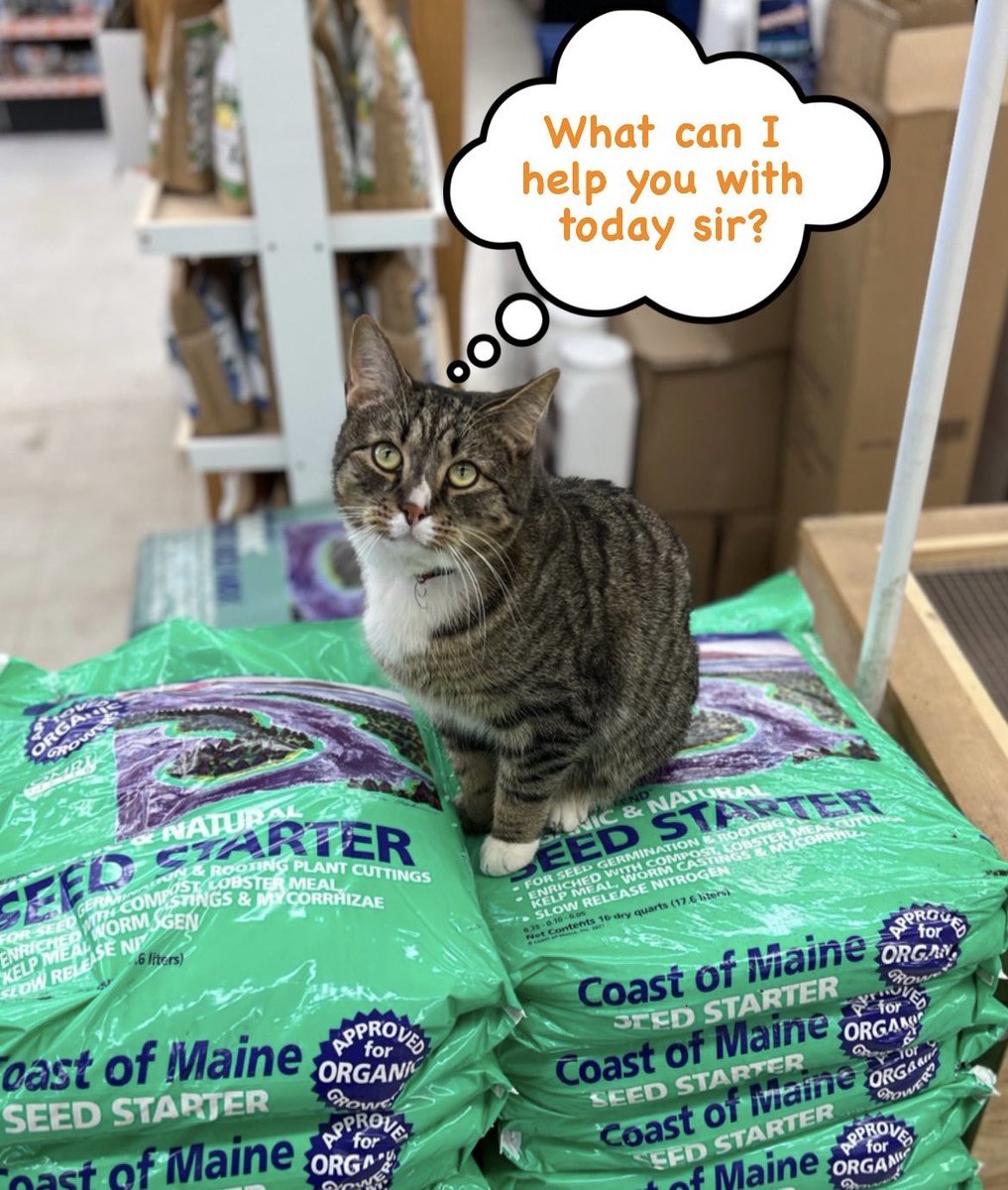 HardwareStore.com tweet media