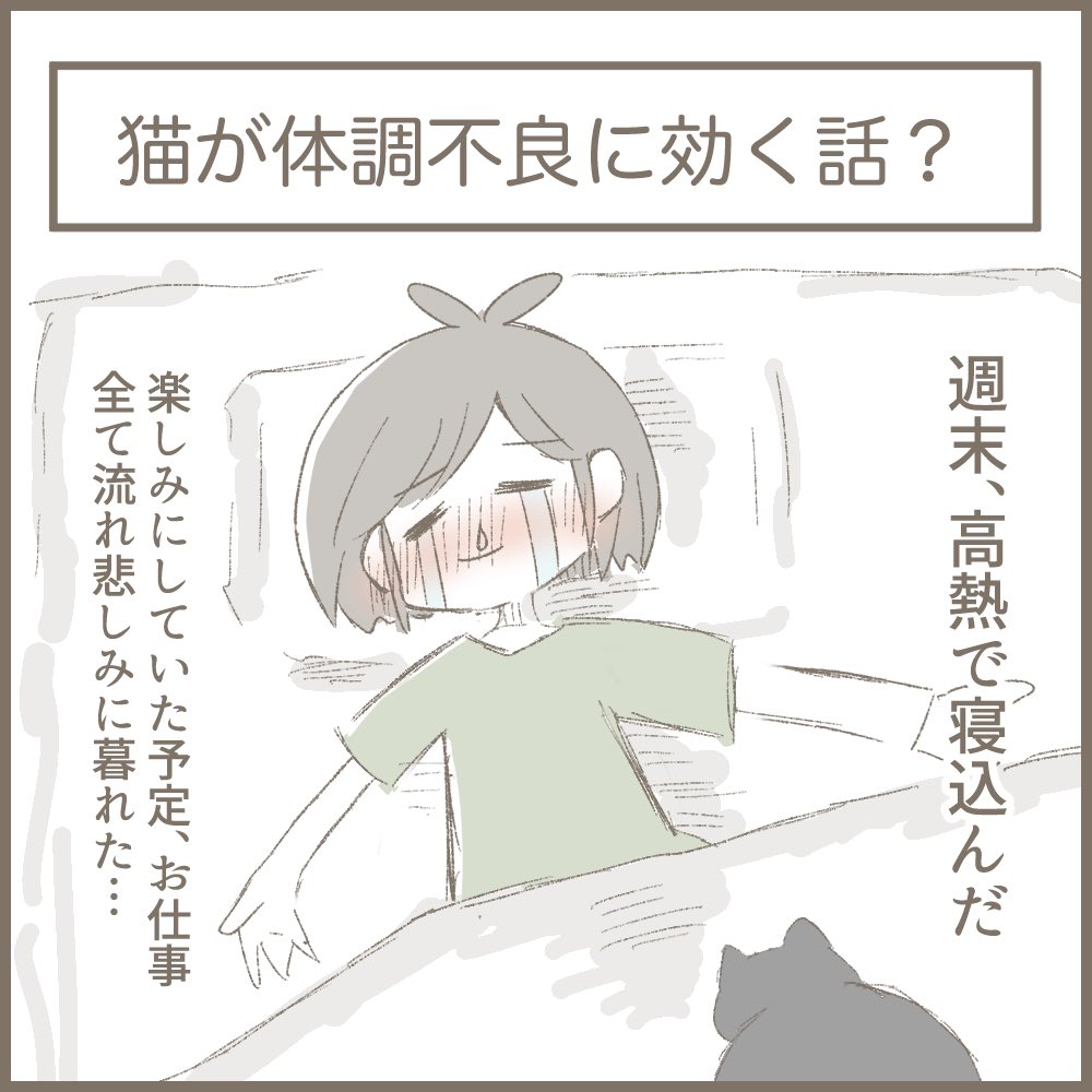 我が家のにゃんこ話①

 #やさしい持ち込み2023 https://t.co/XYccPcJdEs
