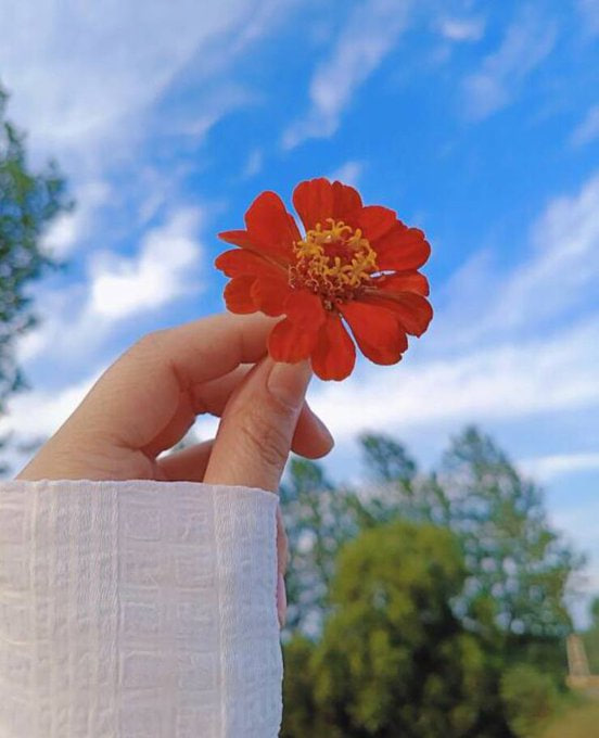 LoveableKarmina's tweet photo. Like wildflowers; You must allow yourself to grow in all the places people thought you never would。 https://t.co/4bjC8l4lUa