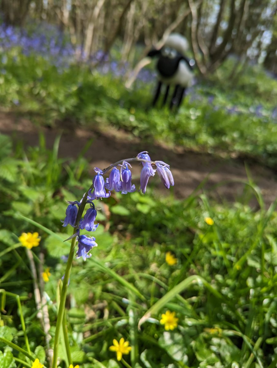 HeartofKentHospice tweet media