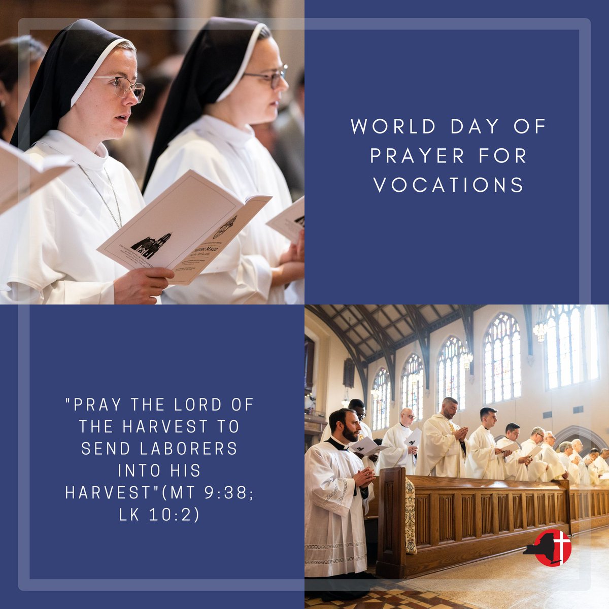 #PrayerforVocations
📸: Diocese of Rockville Centre FB