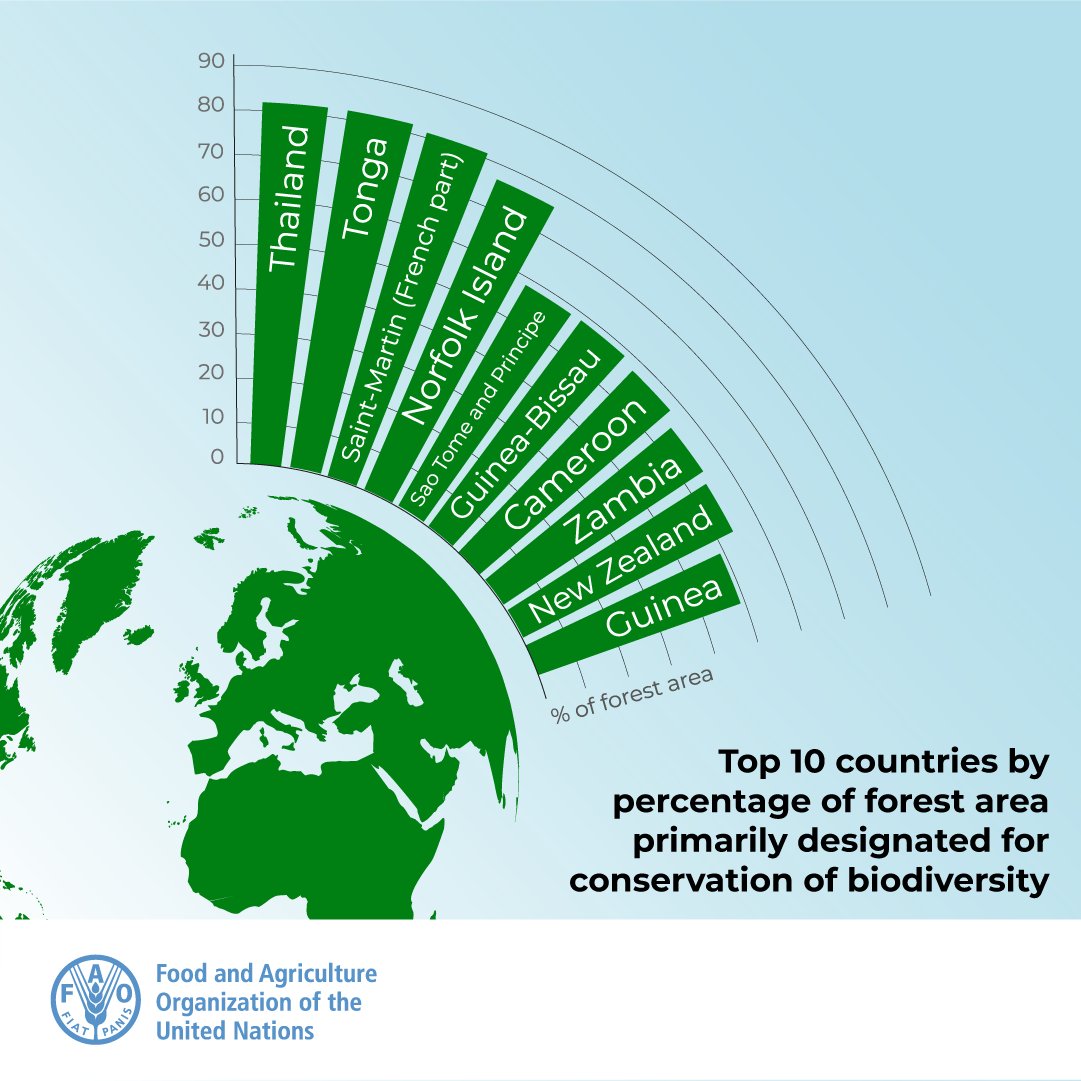 About 10% of the world’s forests (424 million ha) is allocated for biodiversity conservation. 

The rate of increase in the area of forest designated primarily for biodiversity conservation has slowed in the last 10 years.

👉 bit.ly/GFRA2020

#FRA2020 #GFRA