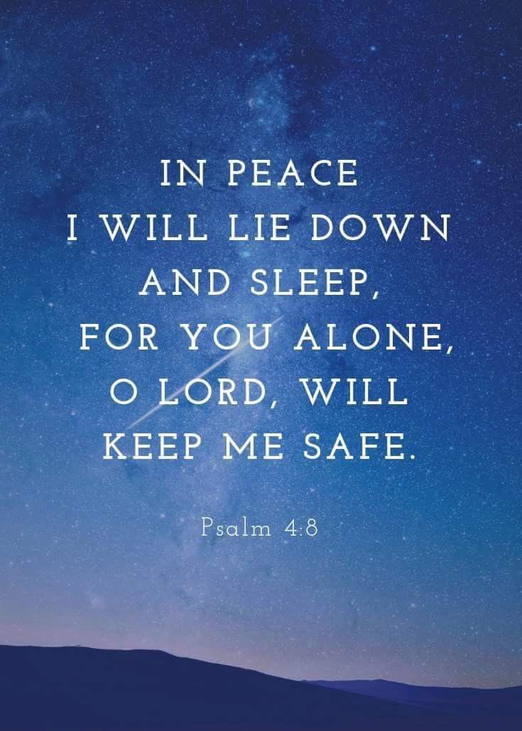 If you’re having trouble sleeping, pray this verse! 🙏🏻💤