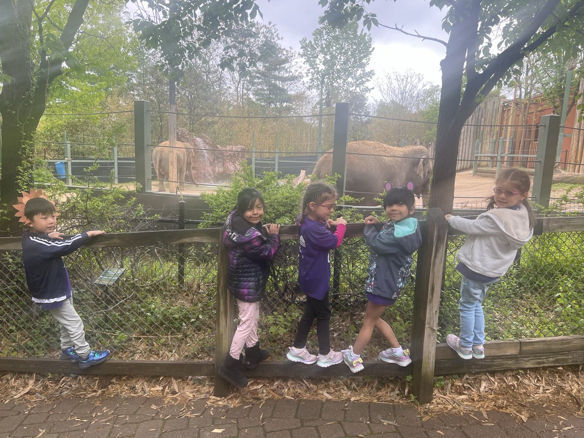 Going to the zoo on Friday was such an amazing experience. They loved the animals, train and especially the carousel. It was so exciting and full of joy. They have learned so many English words this year. It’s inspiring! #NeedToSucceedCECS <a href="/Creeksidetweet/">Creekside ECS</a> #WEareLakota