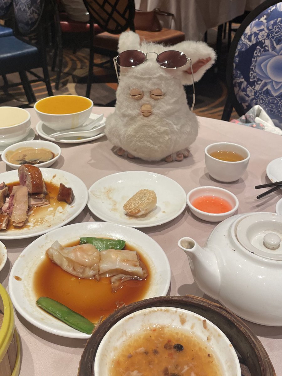 ヤムチャおなかいっぱいたべて、ねむいです💤

#furby
#ファービー
#ファービー2