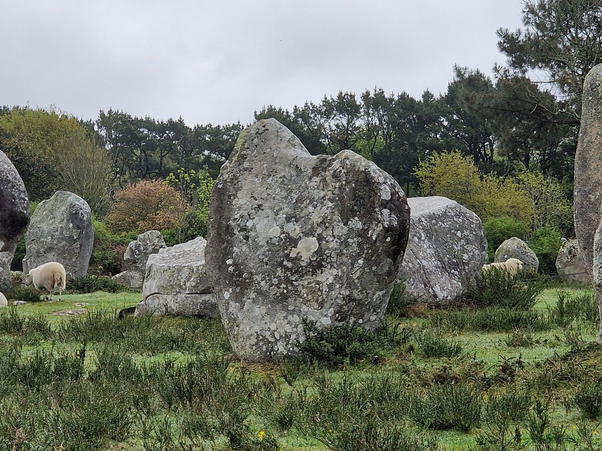 Tadeja Kuhar tweet media