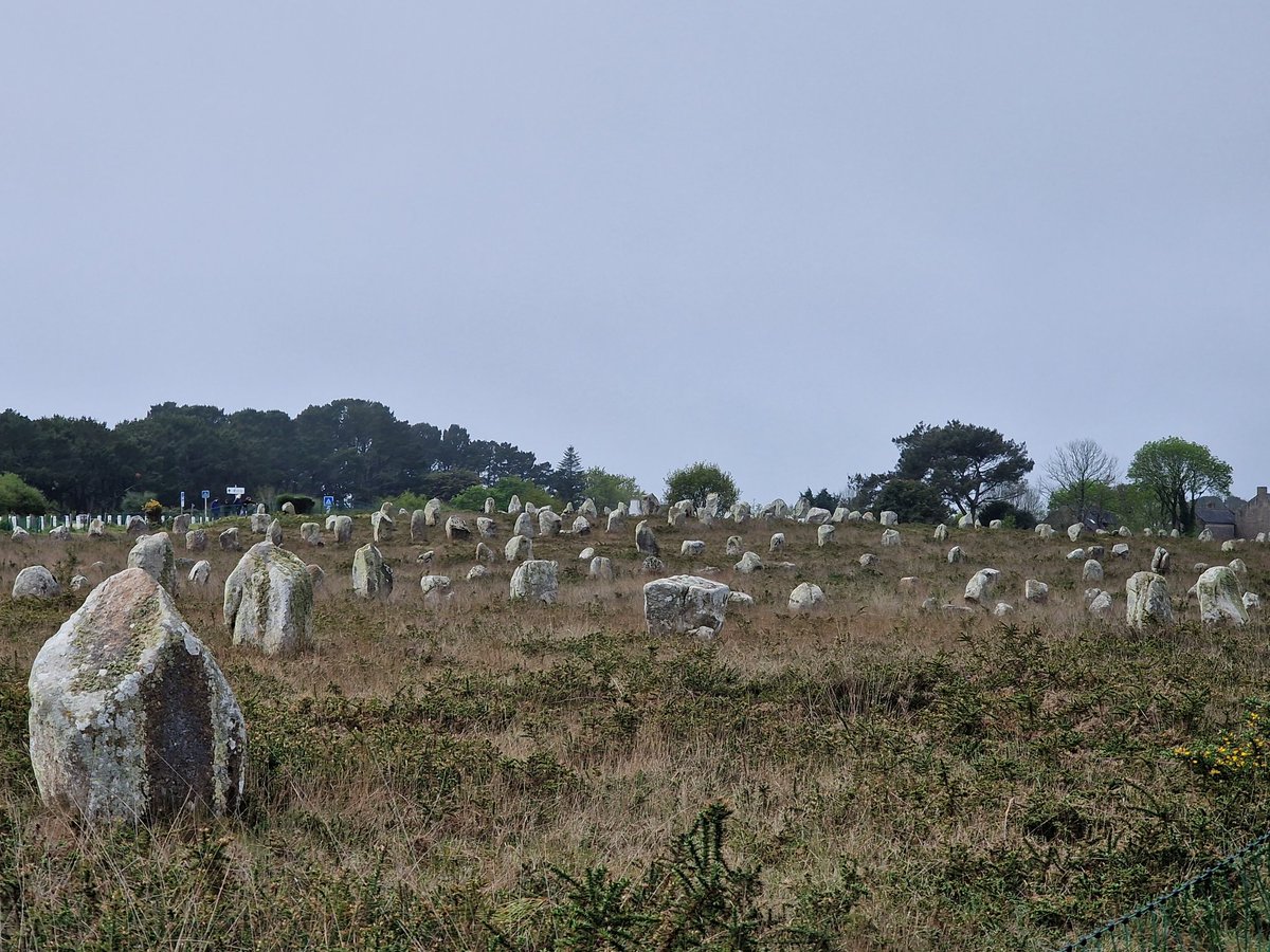 Tadeja Kuhar tweet media