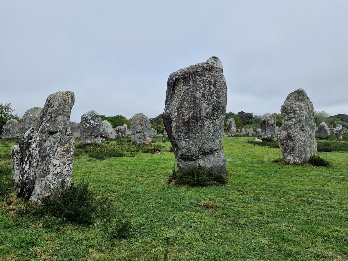 Tadeja Kuhar tweet media