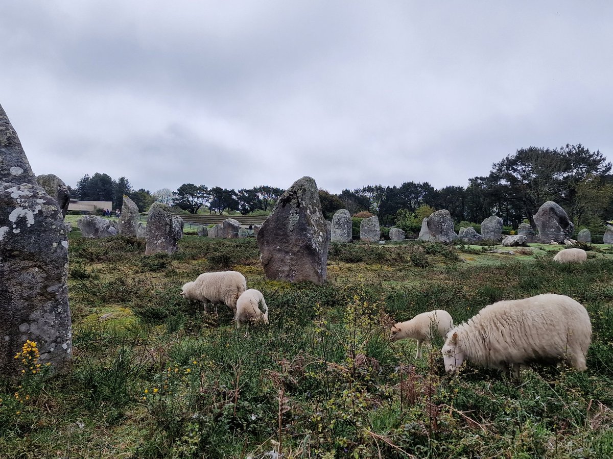 Tadeja Kuhar tweet media