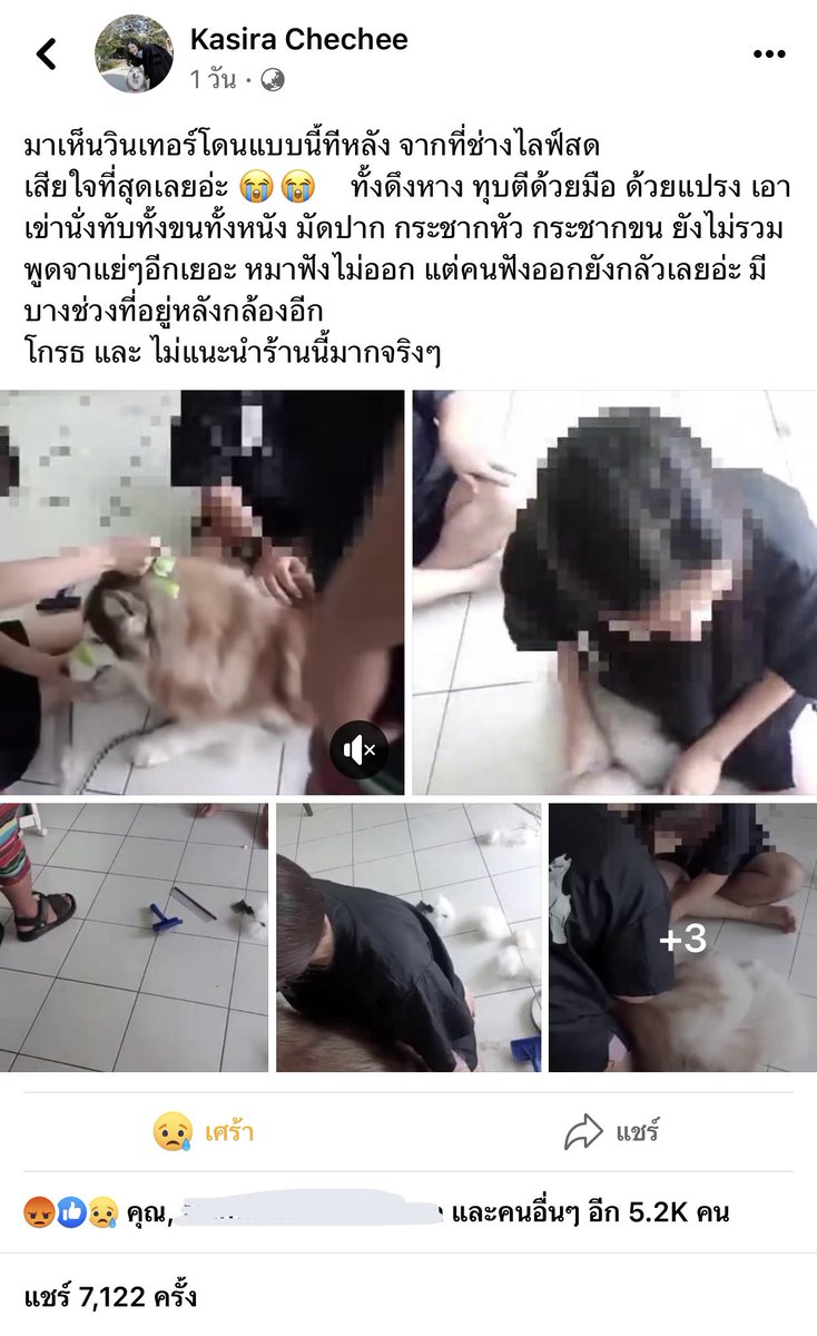 เตือนภัย ⚠️ ร้าน Grooming อาบน้ำ ตัดขนสัตว์เลี้ยงร้านดังในเชียงใหม่ ไลฟ์ระหว่างทำงานแต่สิ่งที่เกิดขึ้นในคลิปคือใช้ความรุนแรงกับสัตว์เลี้ยงโดยที่ไม่บอกเจ้าของทั้งมัดปาก เอาเข่ากด เสียงน้องร้องน่าสงสารมาก เจ้าของเค้ามาตามดูไลฟ์เค้าใจสลายเลยอะ ถ้าไม่มีใจรักสัตว์จะมาทำอาชีพนี้ทำไม 🥲