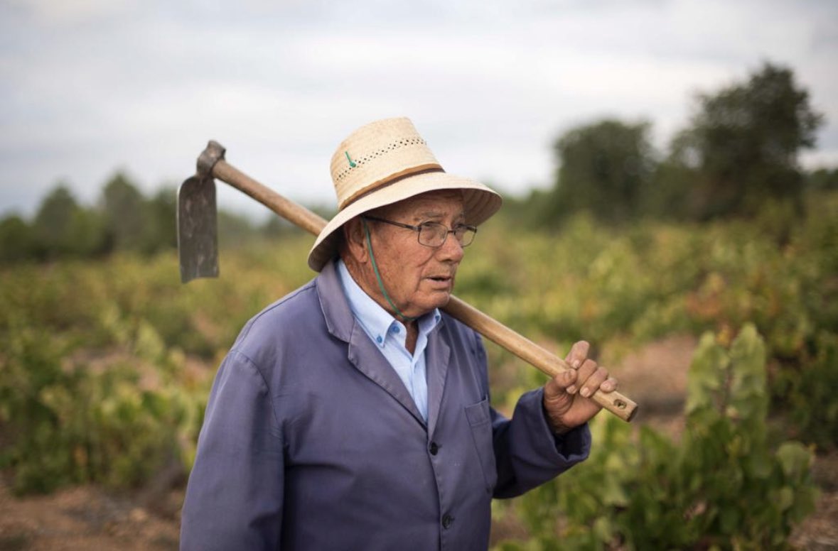 masdelapansa's tweet photo. Ahir l'avi va marxar,després d'una vida dedicada en cos i anima a la vinya,la seva feina,la seva passió i el seu hobby. Gràcies, avi x tot el que m'has ensenyat. Sense tu, jo no seria qui soc.Joan Soler Pages,de nom i de fets,com deia ell quan es presentava.Sempre en el meu ♥️ https://t.co/s31qi1a62j