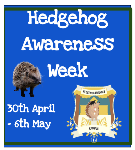 University of Roehampton Hedgehog Friendly Campus tweet media
