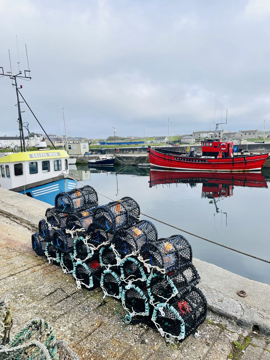 ClareCashin's tweet photo. Rathlin #irelandswildislands #causewaycoast https://t.co/bAddy7fuvZ