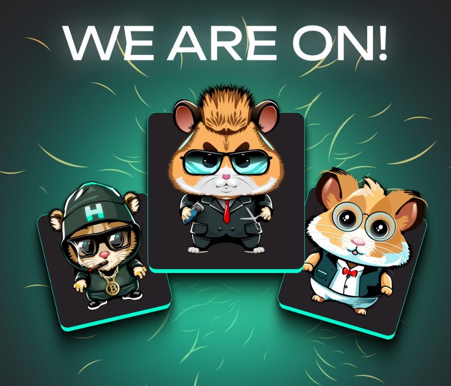 Hamster Groomer (@HamsterGroomer) / Posts / X