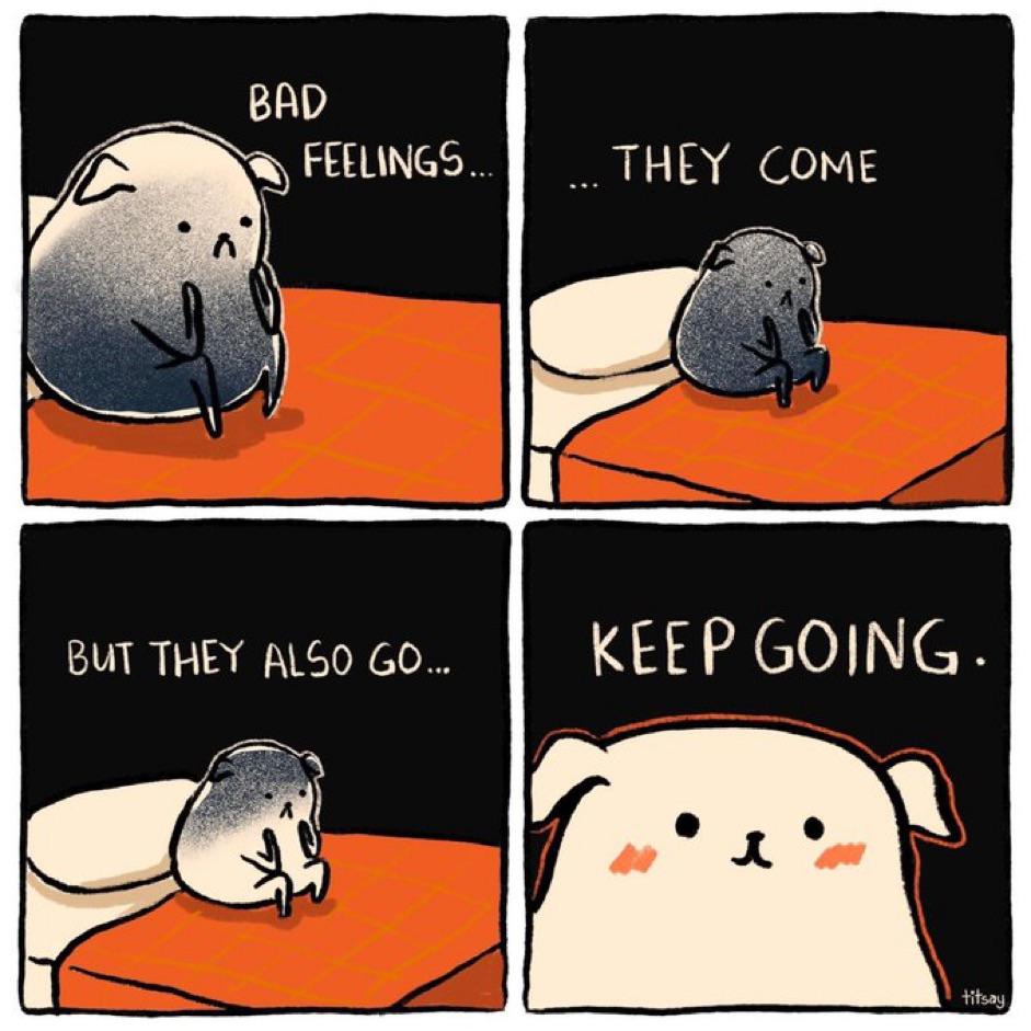 WholesomeMemes tweet media