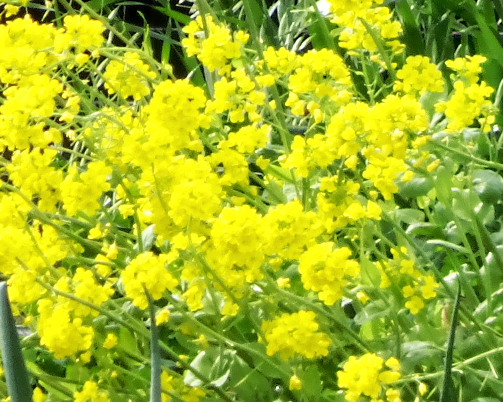 𝒛 𝒆 𝒓 𝒐² ☕ tweet media