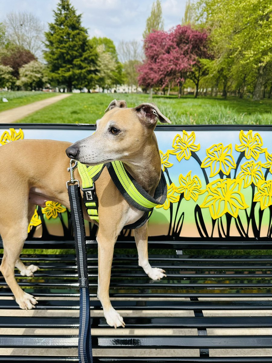 BeatFeet Ltd tweet media