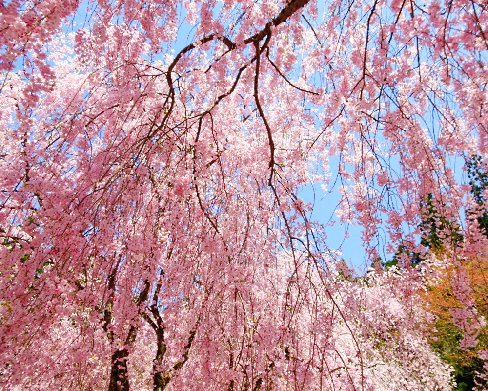 𝒛 𝒆 𝒓 𝒐² ☕ tweet media