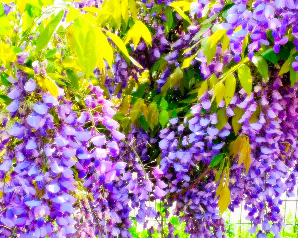 𝒛 𝒆 𝒓 𝒐² ☕ tweet media