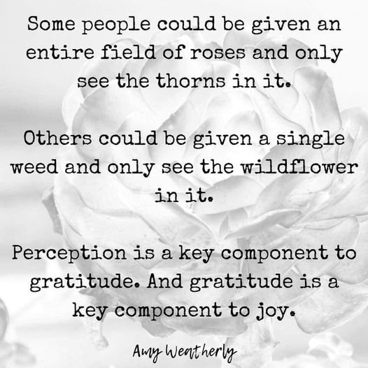 PeggyMercer's tweet photo. #SundayMorningThinking....live life in #UPMODE! always saying thanks for this day! I bring #JOY to this day, I will look UP, find the good, share the good and #BETHEGOODSHEPHERD.....I am #Blessed to see the best in all things! Living in #UPMODE! https://t.co/e4bilgSUcQ