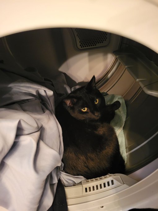 Sam decided to do laundry today 🤣 https://t.co/FcBocZZzcB<a href="/tag/cinemasins"class="tags"><span>#cinemasins</span></a>