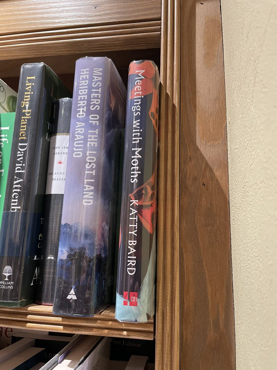 Hey <a href="/kattyponder/">Katty Baird</a>, look what I found in <a href="/ToppingsEdin/">Topping & Company Booksellers of Edinburgh</a>!