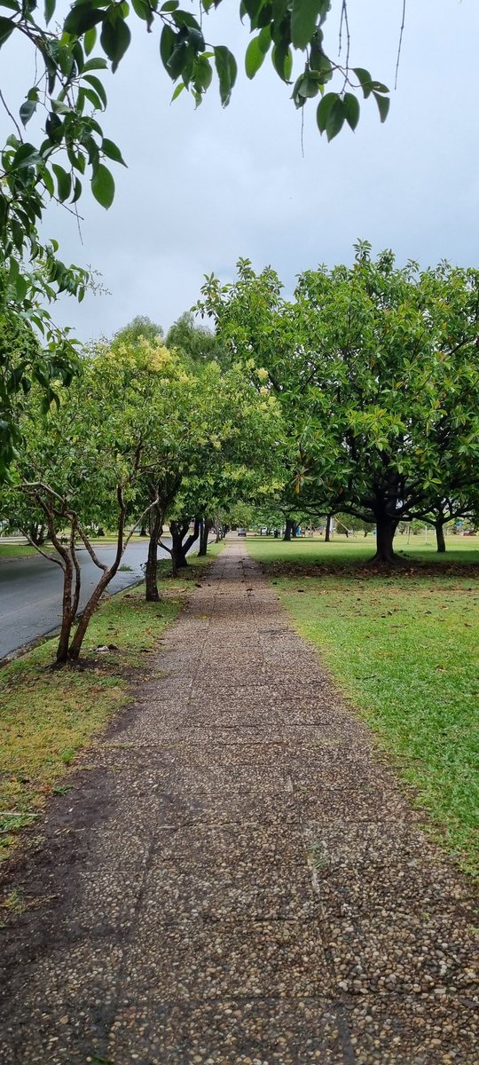 아무리 바빠도 짬짬이 걷기!

<a href="/SuperWalk_/">SuperWalk👟</a> #superwalk #M2E #move2earn #슈퍼워크 #오운완 #하루만보 #만보걷기 #걷기운동 #걷기좋은길