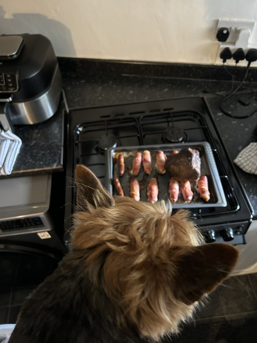 BumTetley's tweet photo. Iโm helping (supervising!!) in the kitchen!! Not long now ๐จโ๐ณ๐จโ๐ณ๐๐๐๐๐ถ๐ถ https://t.co/juBLCe267T