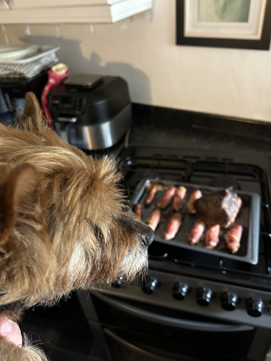 BumTetley's tweet photo. Iโm helping (supervising!!) in the kitchen!! Not long now ๐จโ๐ณ๐จโ๐ณ๐๐๐๐๐ถ๐ถ https://t.co/juBLCe267T